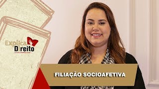 Explica Direito Filiação Socioafetiva  2019 [upl. by Charisse173]