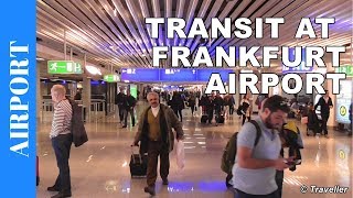 TRANSIT WALK AT FRANKFURT Airport FRA Terminal 1  Connection Flight Transfer Arriving amp Departing [upl. by Haff]